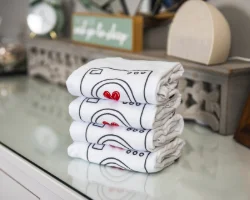 Laundry services in Berwyn, PA - Lessen the Loads