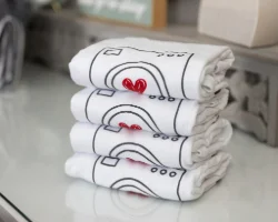 Laundry services in Lafayette Hill, PA - Lessen the Loads