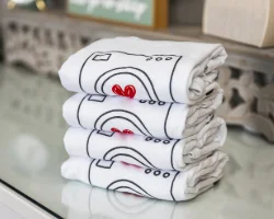 Laundry Services in Furlong, PA - Lessen the Loads